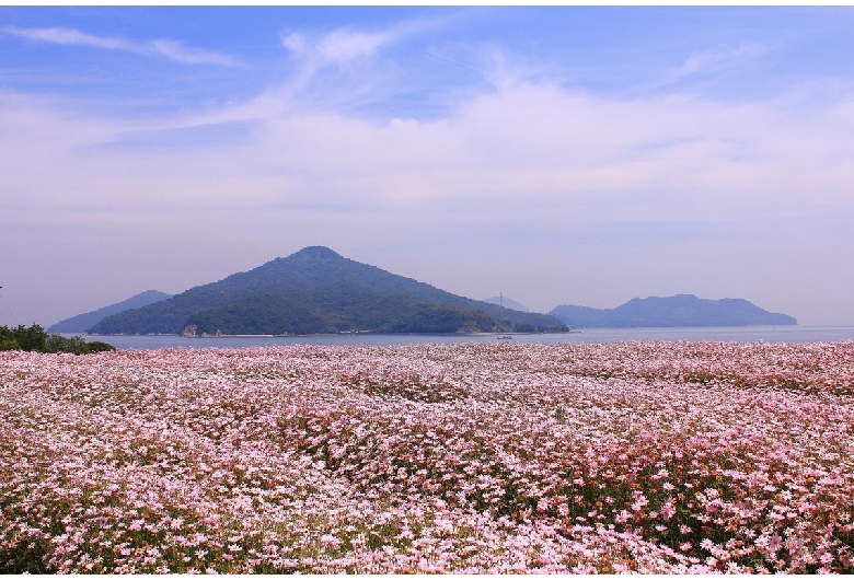 フラワーパーク浦島