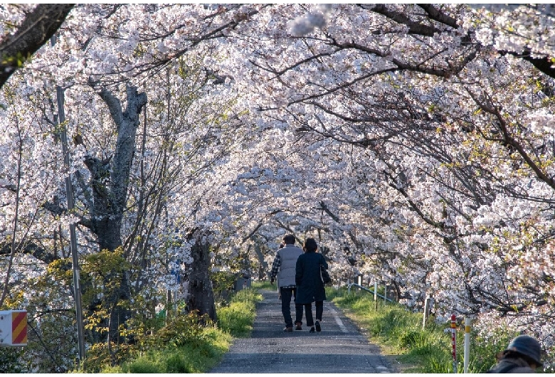 井原堤