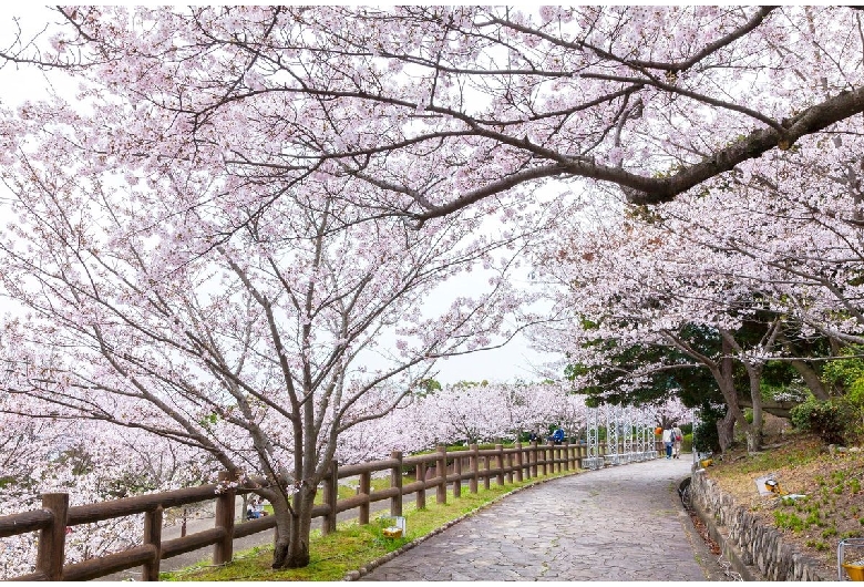 須磨浦公園