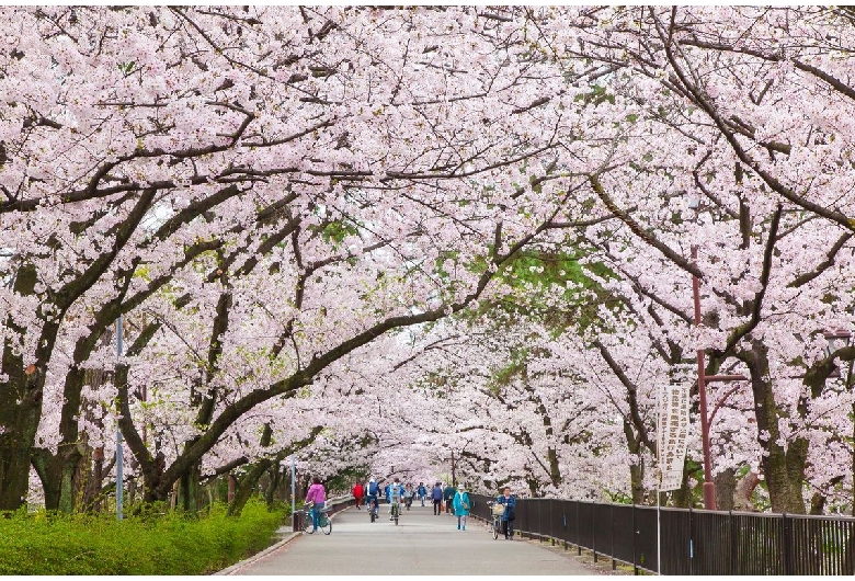 夙川公園