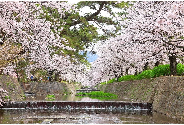 夙川公園