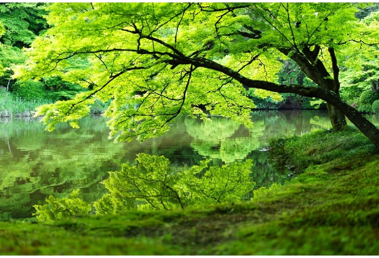 京都府立植物園