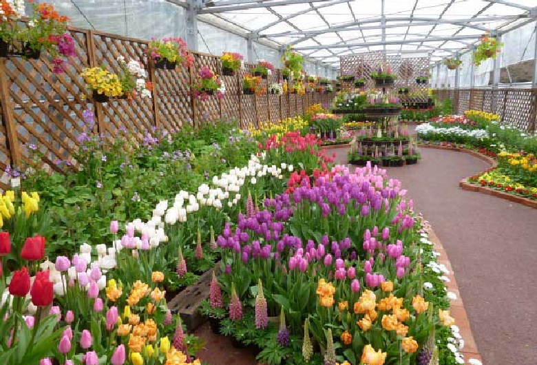 京都府立植物園