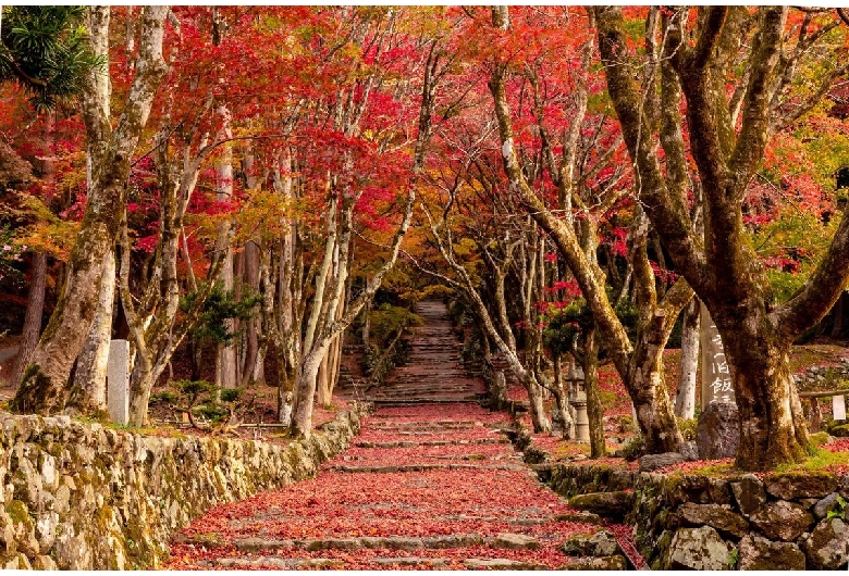 鶏足寺