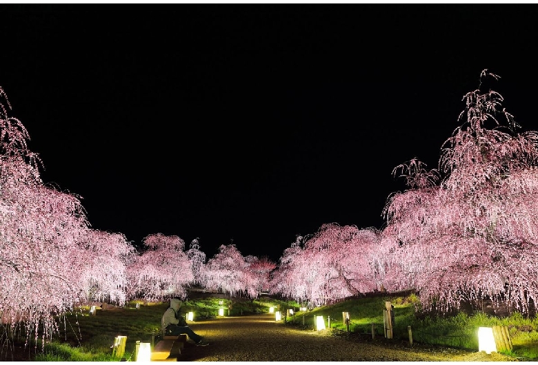 鈴鹿の森庭園