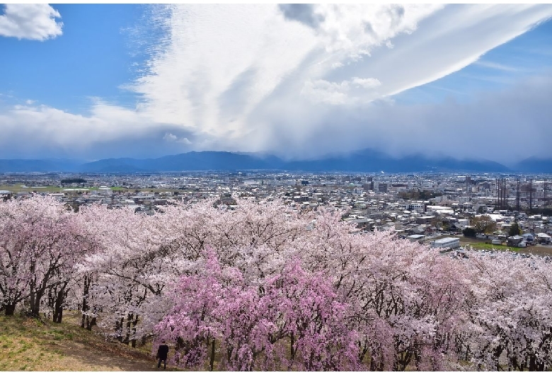 弘法山古墳