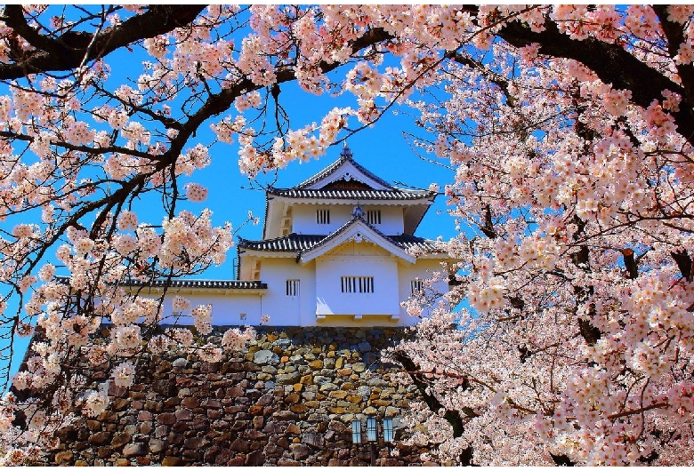 甲府城（舞鶴城公園）