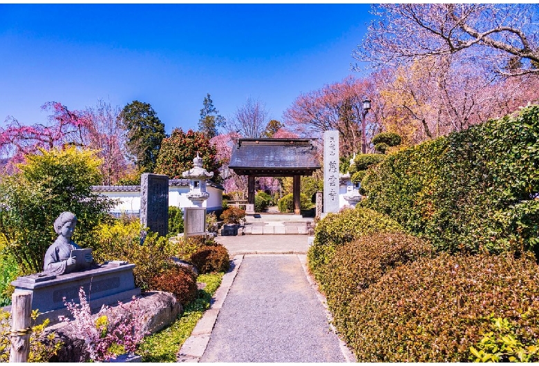 慈雲寺