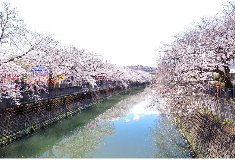 大岡川遊歩道