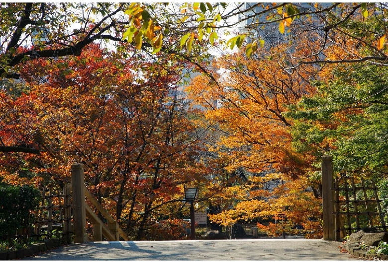 飛鳥山公園