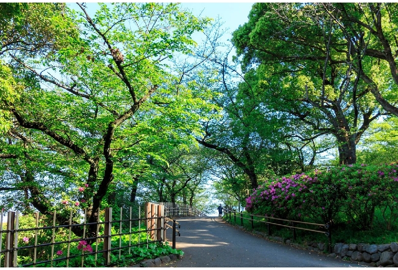 飛鳥山公園