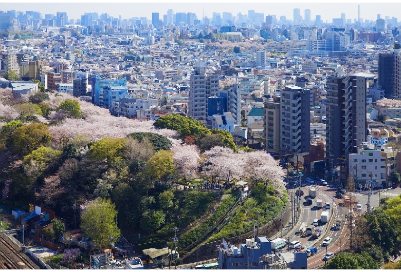 飛鳥山公園