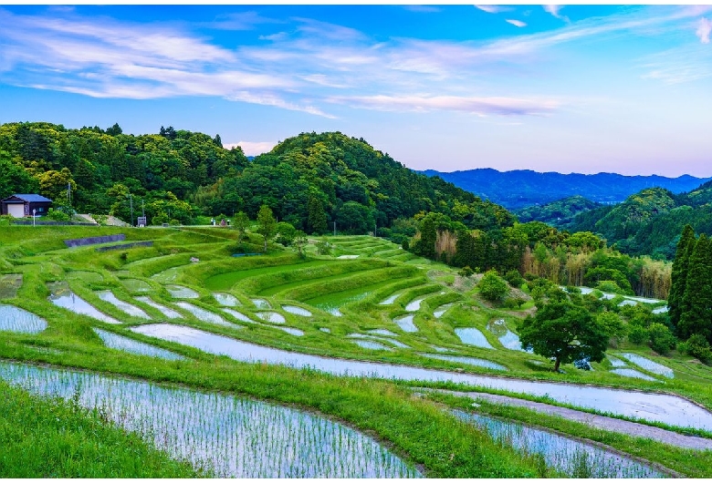 大山千枚田