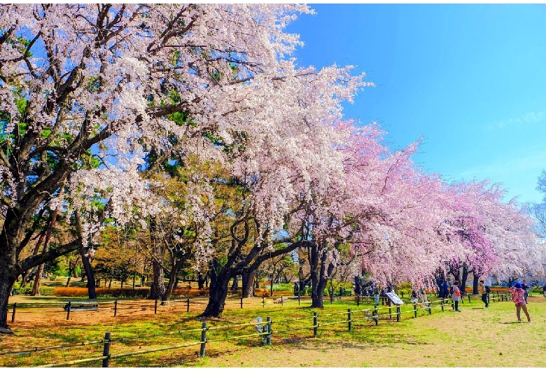 敷島公園