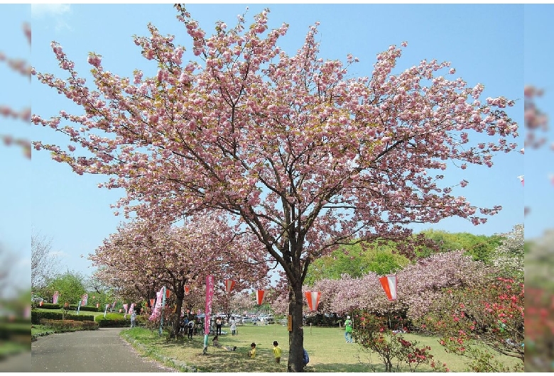 天平の丘公園