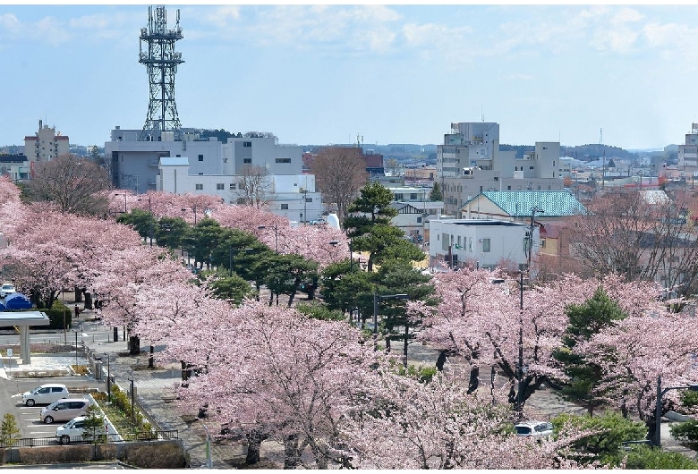 十和田市官庁街通り