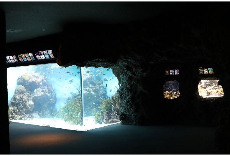 市立しものせき水族館海響館（唐戸地区）