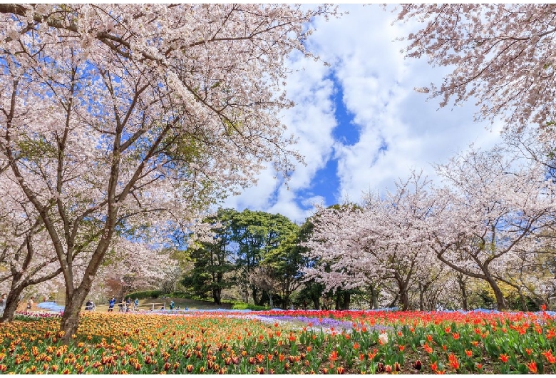 火の山公園（壇之浦地区）