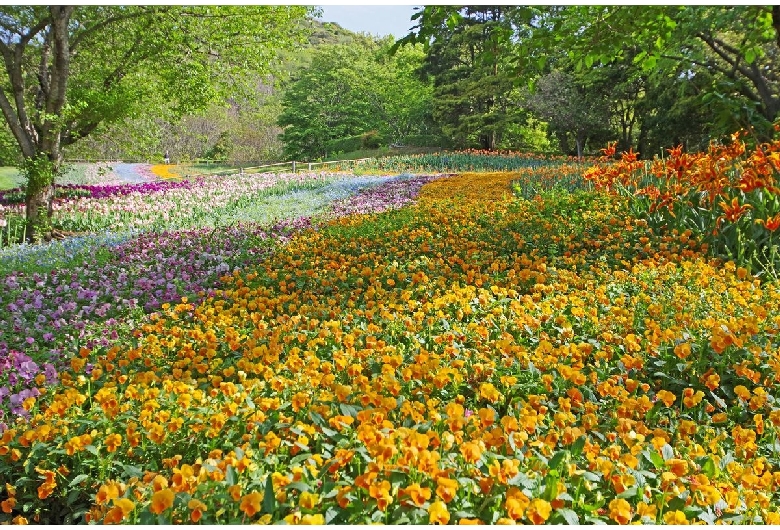 火の山公園（壇之浦地区）