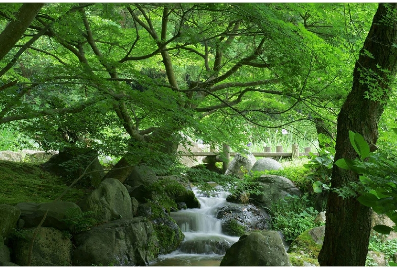 長府庭園（城下町長府地区）