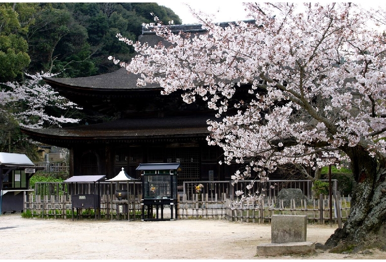 功山寺（城下町長府地区）