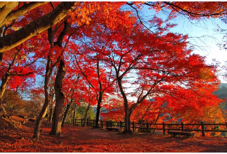 尾関山公園