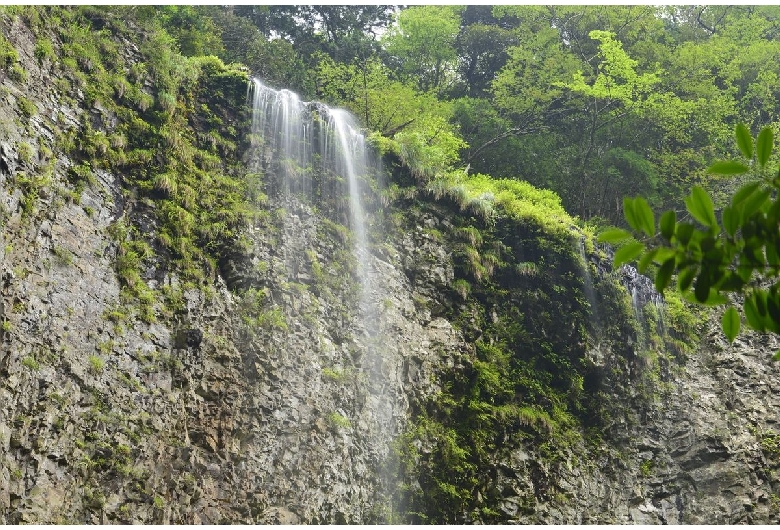 隠岐諸島（島後：隠岐の島）