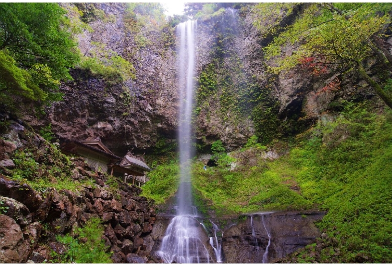 隠岐諸島（島後：隠岐の島）