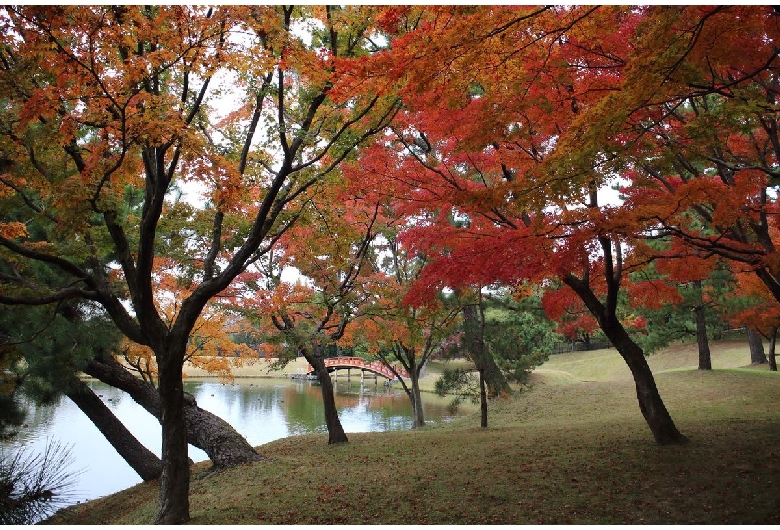 旧大乗院庭園（奈良公園）