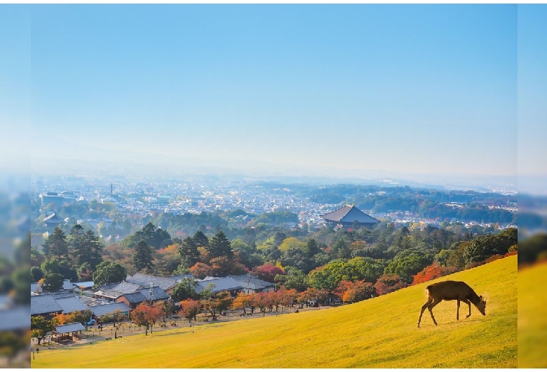 若草山（奈良公園）