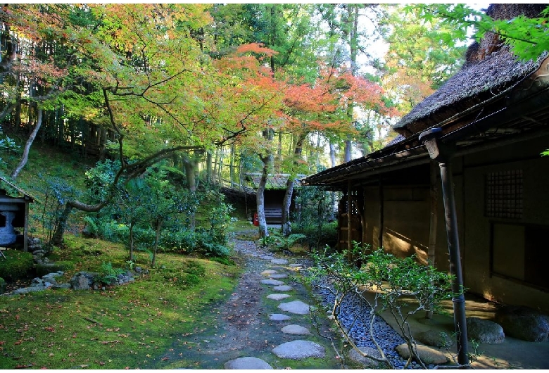 吉城園（奈良公園）