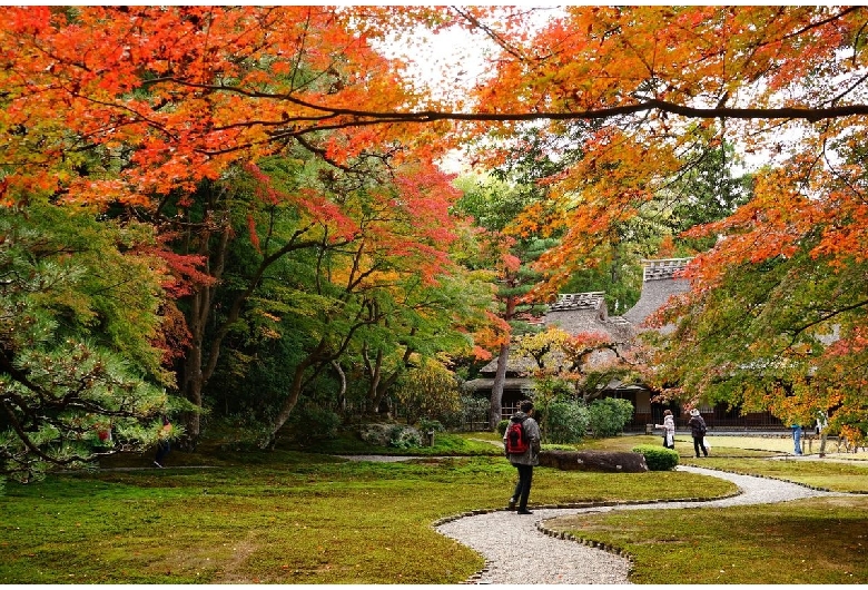 吉城園（奈良公園）