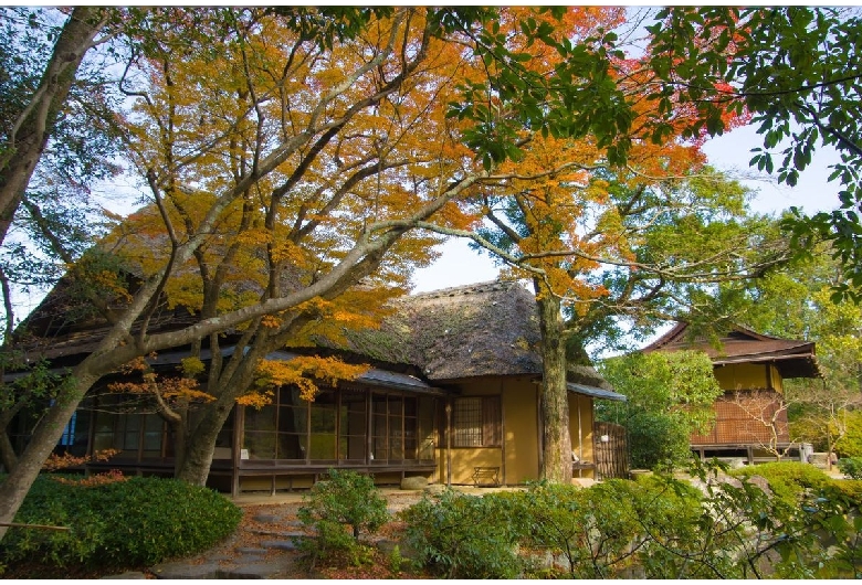 依水園（奈良公園）