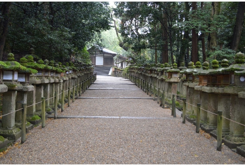 春日大社（奈良公園）