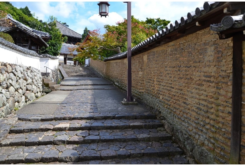 東大寺（奈良公園）