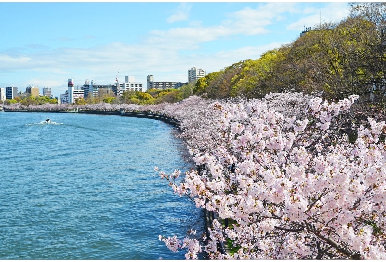 毛馬桜之宮公園（桜之宮公園）