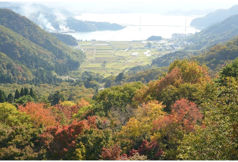 舞鶴自然文化園