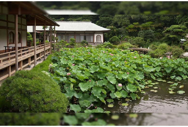 光明寺（鎌倉）