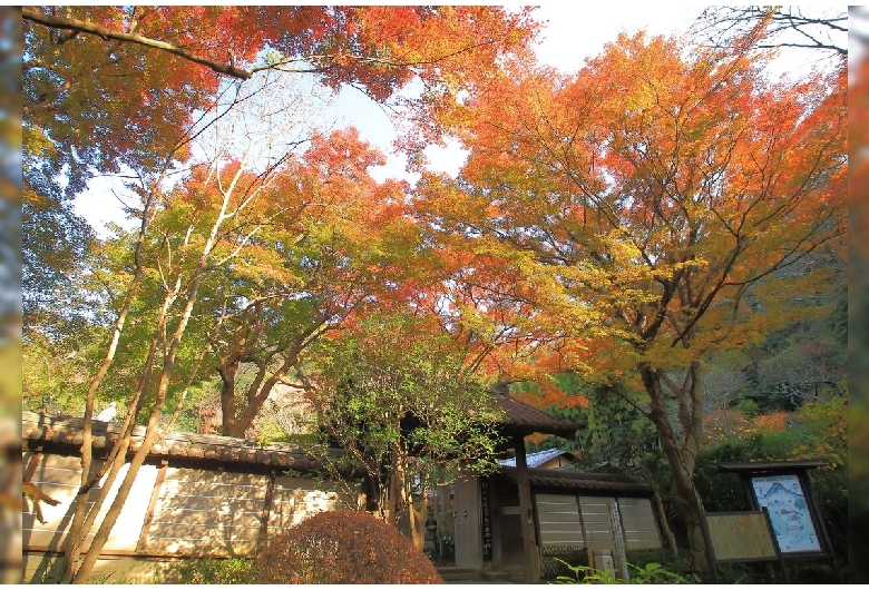 瑞泉寺（鎌倉）