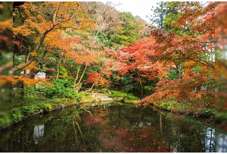 鶴岡八幡宮（鎌倉）