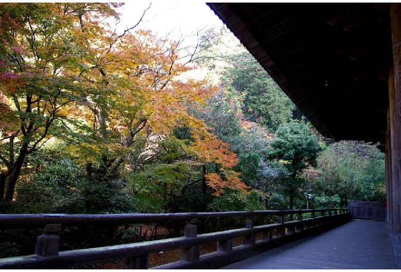 妙本寺（鎌倉）