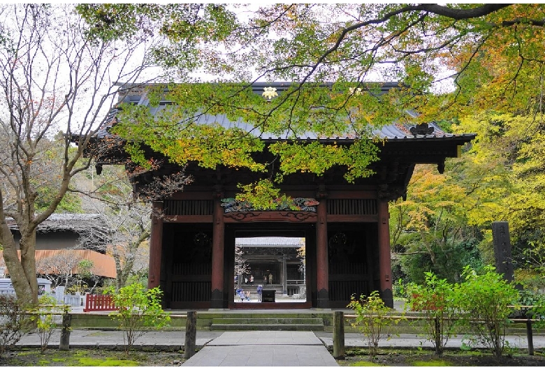 妙本寺（鎌倉）