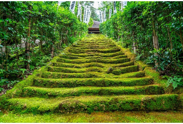 杉本寺（鎌倉）