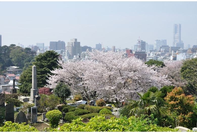 外国人墓地（横浜：山手・元町地区）