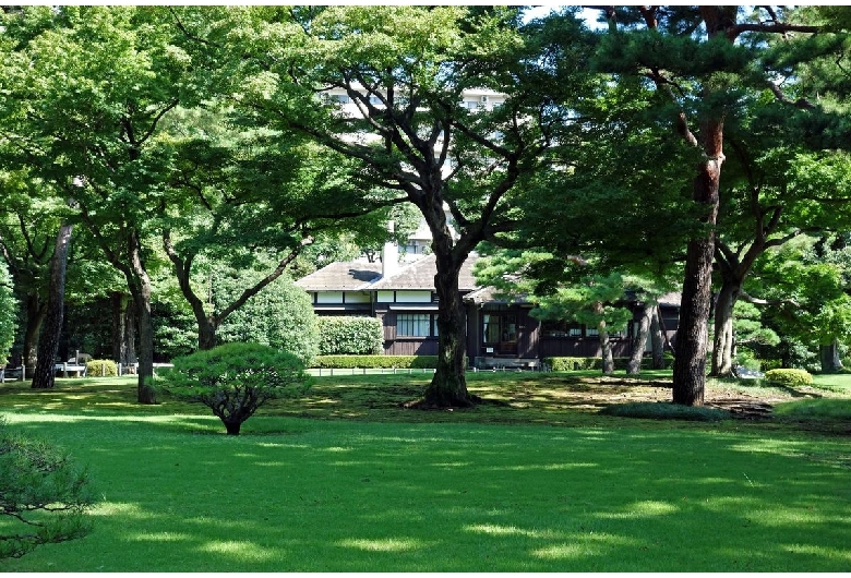 殿ヶ谷戸庭園