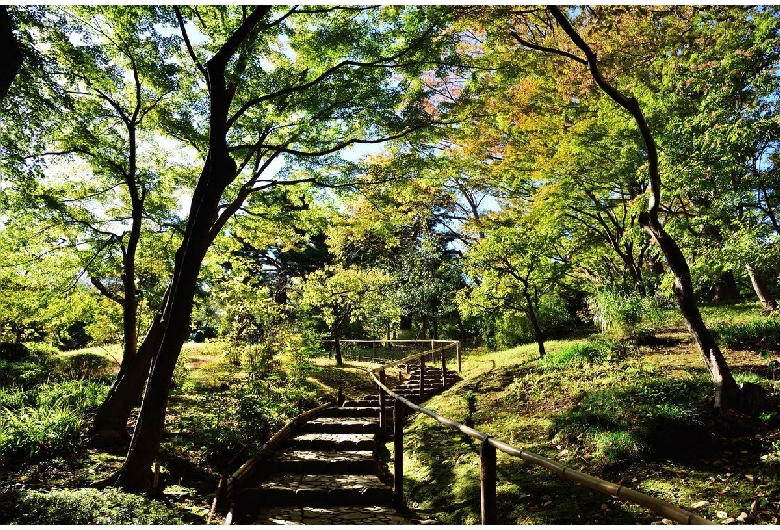 殿ヶ谷戸庭園