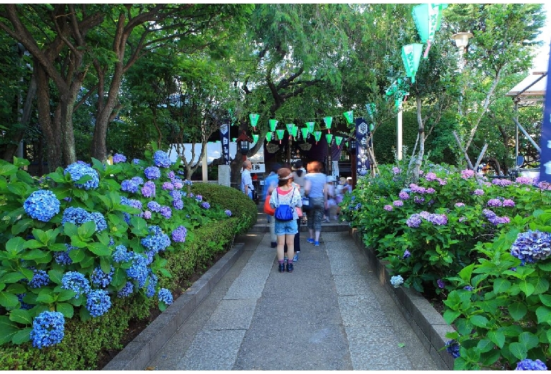 白山神社