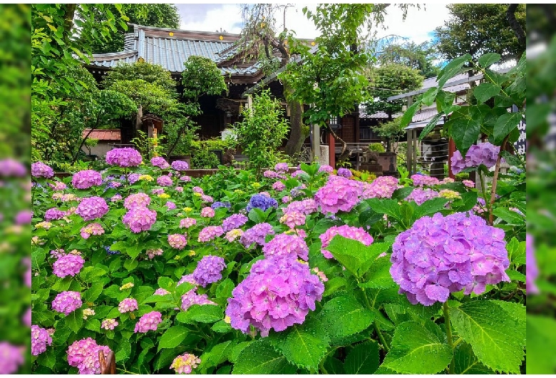 白山神社