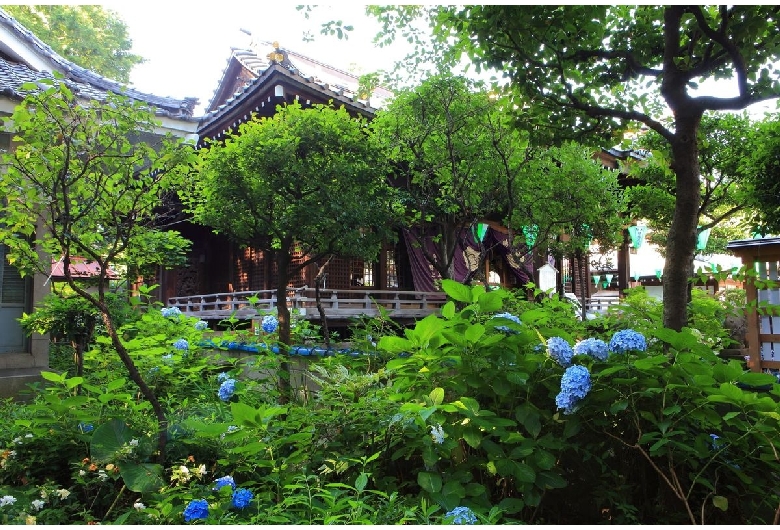 白山神社