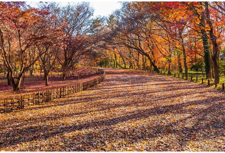 神代植物公園